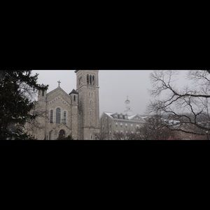 Meet your Posher, Anne